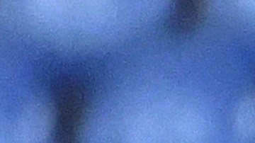 El mexicano Johan Vásquez disputando una pelota con el argentino Nico González de la Juventus.