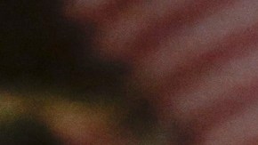 Cada vez más inmigrantes se hacen ciudadanos estadounidenses.