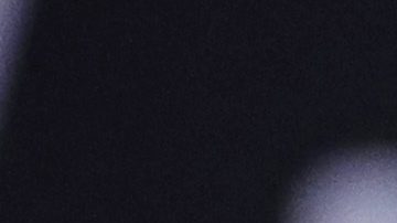 Óscar de la Hoya, expeleador mexicoamericano.