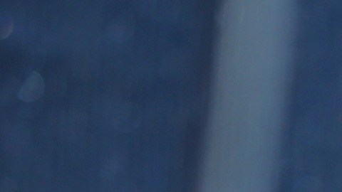 Carlos Vela no juega con Los Ángeles FC desde el último partido de la pasada temporada de la MLS.