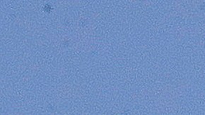 No se reportaron heridos por la colisión de los dos aviones en Atlanta.