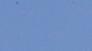 No se reportaron heridos por la colisión de los dos aviones en Atlanta.