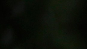 Aleysha Ortiz fue promovida de grado en grado por sus profesores sin conocer su condición.