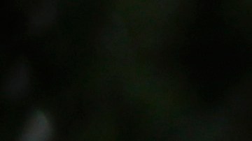 Aleysha Ortiz fue promovida de grado en grado por sus profesores sin conocer su condición.