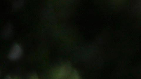Aleysha Ortiz fue promovida de grado en grado por sus profesores sin conocer su condición.