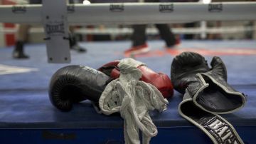 Imagen de referencia de guantes de boxeo.