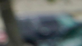 Así puedes comprar "sabiamente" en Dollar Tree.