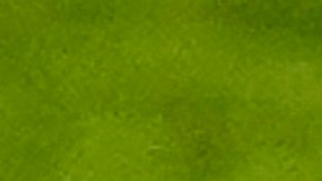 Rodrigo De Paul y Emiliano Martínez son dos de los candidatos a ser el capitán de Argentina en esta doble fecha.