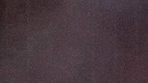 Los hinchas de la Roma no alentaron a su equipo durante los primeros 15 minutos de su debut en la Europa League.