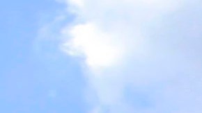 Trader-Joes Dumpling Recall