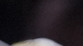 Boston Celtics forward Jayson Tatum kisses the Larry O'Brien Championship Trophy after Game 5 of the NBA Finals basketball series against the Dallas Mavericks, Monday, June 17, 2024, in Boston. At right is Celtics co-owner Stephen Pagliuca. (AP Photo/Charles Krupa, Pool)