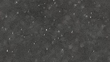 Kei Kamara nada pudo hacer para evitar la caída del LAFC.