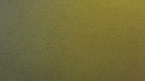 Argentina's goalkeeper Emiliano Martinez warms up prior to the Copa America final soccer match against Colombia in Miami Gardens, Fla., Sunday, July 14, 2024. (AP Photo/Julio Cortez)