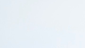 La congresista Sydney Kamlager-Dove (centro) propuso ley sobre Cumbre de las Américas.