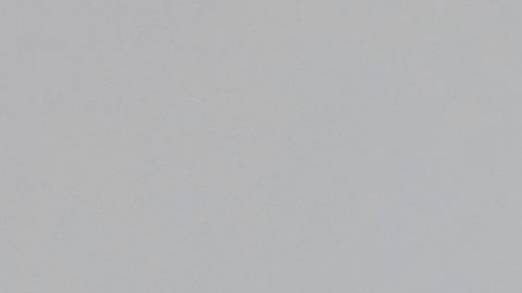 This is a 2024 photo of Ricky Pearsall of the San Francisco 49ers NFL football team. This image reflects the San Francisco 49ers active roster as of Thursday, May 9, 2024 when this image was taken. (AP Photo)