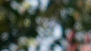 Linda Carter, of Grayson, Ga., kneels near Apalachee High School to place flowers as she mourners for the slain students and teachers on Thursday, Sept. 5, 2024, in Winder, Ga. (AP Photo/Brynn Anderson)