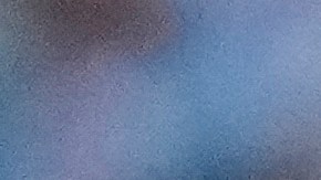 El wide receiver de los Dolphins, Tyreek Hill, había sido detenido por exceso de velocidad y esposado a la fuerza por parte de un agente de la policía del condado de Miami-Dade.