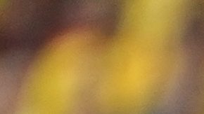 Argentina cayó ante Colombia.