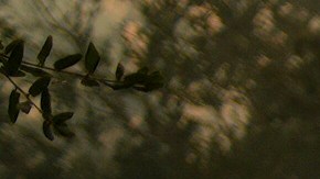 Un bombero rocía agua a una propiedad en llamas mientras lucha contra el incendio Aeropuerto.