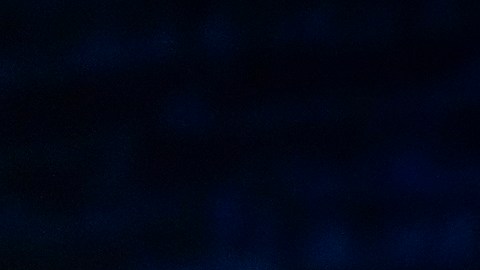 La vicepresidenta Harris apoya un camino a la ciudadanía para indocumentados.