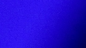 Biden dijo que los inmigrantes son "la sangre de Estados Unidos".