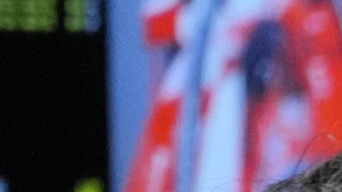 Red Bull driver Sergio Perez of Mexico talks inside their garage during the second practice session of the Singapore Formula One Grand Prix at the Marina Bay Street Circuit, in Singapore, Friday, Sept. 20, 2024. (AP Photo/Vincent Thian)