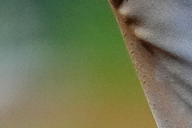 Shohei Ohtani jugó el sábado con unos zapatos cuya decoración incluye a 'Decoy', el perro de la súper estrella del béisbol. Ohtani robó su base 58 de la temporada.