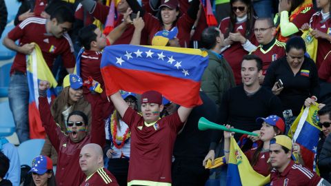 Fans of Venezuela celebrate at the end of the match between Venezuela and Colombia during a Copa America Group C soccer match at El Teniente stadium in Rancagua, Chile, Sunday, June 14, 2015. Venezuela won the game 1-0.(AP Photo/Ricardo Mazalan)