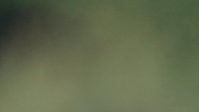 La agricultura perdería a miles de trabajadores indocumentados si Trump resulta electo y realiza deportaciones masivas.