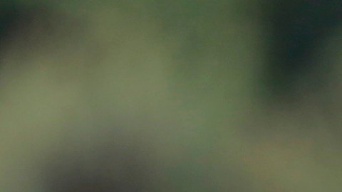 La agricultura perdería a miles de trabajadores indocumentados si Trump resulta electo y realiza deportaciones masivas.