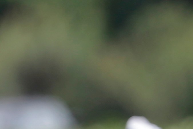 La agricultura perdería a miles de trabajadores indocumentados si Trump resulta electo y realiza deportaciones masivas.