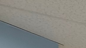 Producto de Aldi a $1.49 causa furor para el Día de Acción de Gracias