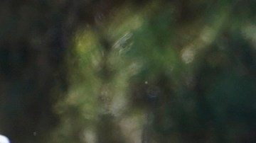 A forensic investigator leaves the home of Bishop David O'Connell in Hacienda Heights, Calif., Sunday, Feb. 19, 2023. O'Connell was shot and killed Saturday just blocks from a church, a slaying of a longtime priest hailed as a “peacemaker” that's stunned the Los Angeles religious community, authorities said. Detectives are investigating the death as a homicide, according to the Los Angeles County Sheriff's Department. (AP Photo/Damian Dovarganes)