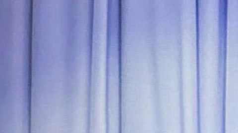 Ana Bárbara Angelina Jolie