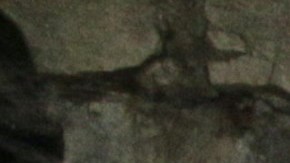 Andrea Legarreta explota en contra de Adrián Marcelo, ¿qué dijo?