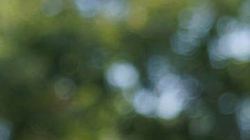 Anthony Scaramucci, exdirector de comunicaciones de la Casa Blanca