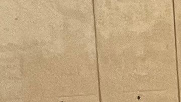 Antonio Méndez junto algunas personas que se le han unido en su caminata. (Fotos Arquidiócesis de Los Ángeles)