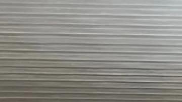 Una foto difundida por la policía el sábado por la noche parecía mostrar una camioneta oscura estacionada cerca de un escenario dentro del recinto en Arizona.