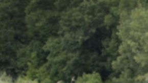 Así es el imponente Dodge Durango SRT Hellcat Hammerhead