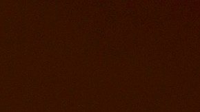 Firefighters monitor the advancing Line Fire in Angelus Oaks, Calif., Monday, Sept. 9, 2024. (AP Photo/Eric Thayer)