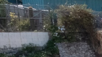 Byron Licausi participa en la limpieza en el carril de bicicleta en Highland Park