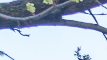 Bank of America, nuevo salario mínimo