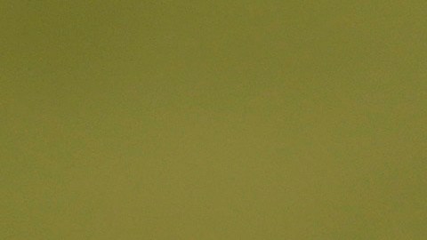 Biden anunció la multimillonaria inversión en energía limpia en un acto en Wisconsin.