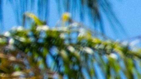 8 artículos en Big Lots que te ayudarán a gastar menos dinero este mes