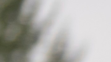 Miembros del sindicato internacional de maquinistas aeroespaciales se dirigen a votar sobre una oferta de contrato del fabricante de aviones Boeing.