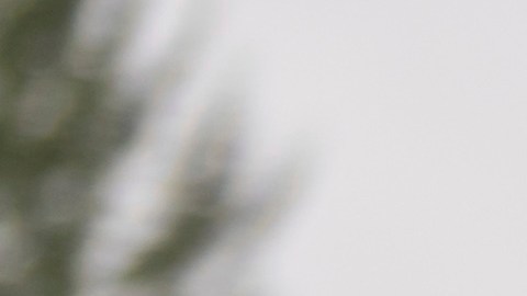 Miembros del sindicato internacional de maquinistas aeroespaciales se dirigen a votar sobre una oferta de contrato del fabricante de aviones Boeing.