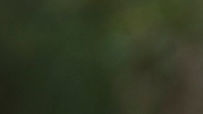 El cantante Bon Jovi evita que una mujer salte de un puente