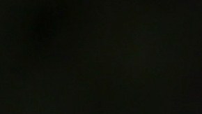 Brad Pitt e Ines de Ramon