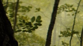 Bronco Ultimate Sasquatch Ford lanza una bestia