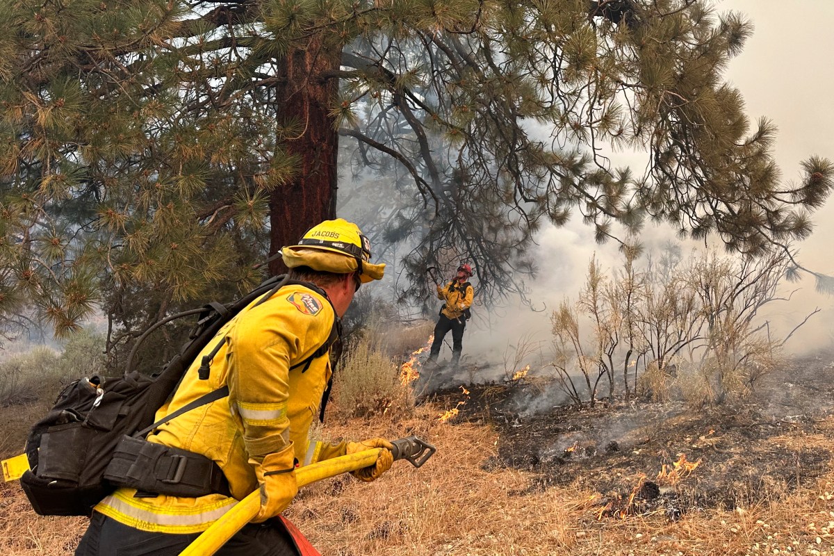 Sonoma firefighter charged with causing at least 5 fires